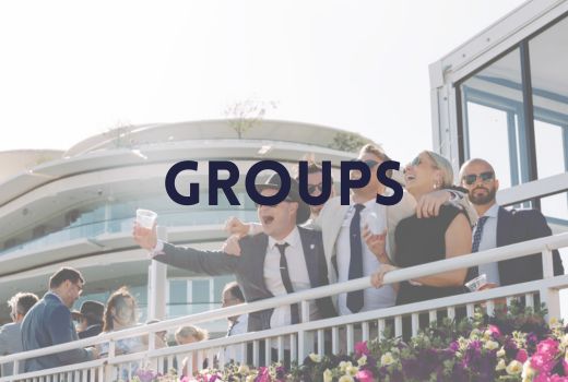 Group travel to Horse Racing